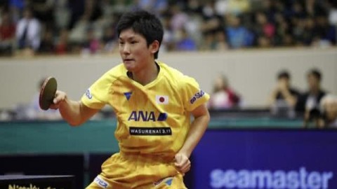 樊振东4-1力克波尔二度封王！国乒重夺男乒世界杯冠军